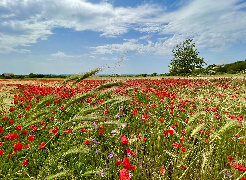 Podrum ponedjeljkom: izložba fotografija “Putovanja”