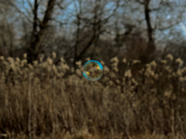 Podrum ponedjeljkom: izložba fotografija “4 elementa”