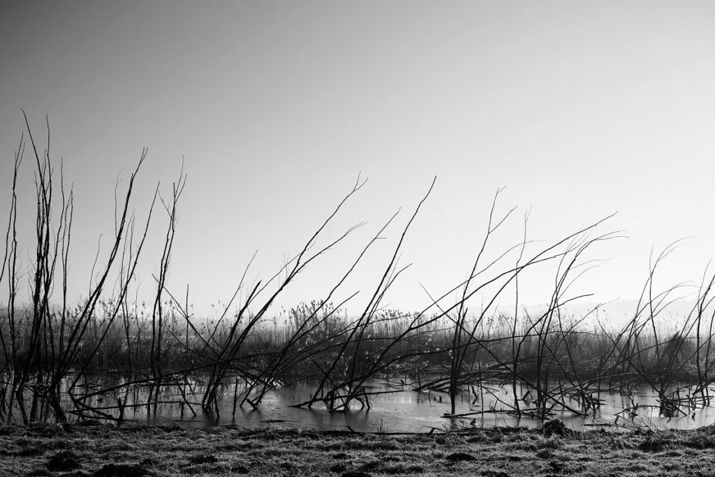 Podrum ponedjeljkom: izložba fotografija Antonija Nemeca