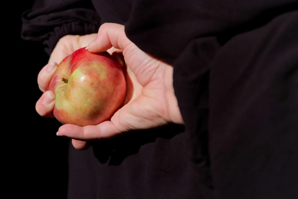 Repriza predstave Jabuko rumena i razgovor s autoricama