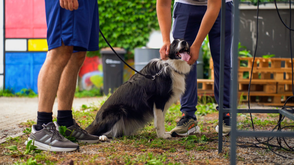 FOTO: Prvi tjedan Hladoveene